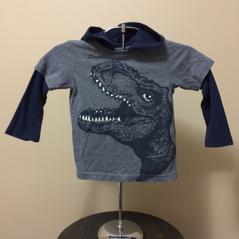 Boys size 2T Shirt with Long Sleeves & Hood